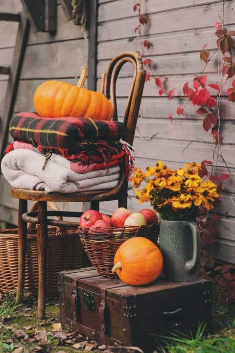 Cozy. Искусство всегда и везде чувствовать себя уютно Cozy. Искусство всегда и везде чувствовать себя уютно