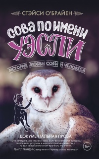 Сова по имени Уэсли - Стэйси О&#039;Брайен - Читать книги онлайн | Слушать аудиокниги онлайн | Электронная библиотека books-lib.com