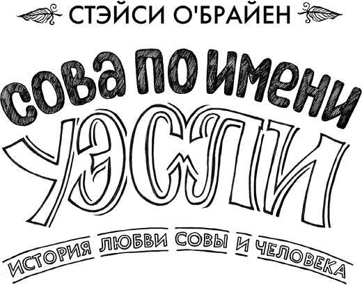 Сова по имени Уэсли Сова по имени Уэсли