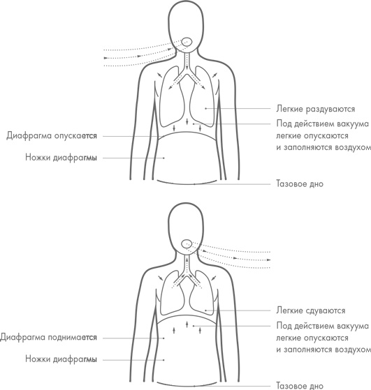 Физический интеллект Физический интеллект