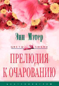 Прелюдия к очарованию - Энн Мэтер - Читать книги онлайн | Слушать аудиокниги онлайн | Электронная библиотека books-lib.com