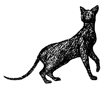 Кот для двоих Кот для двоих