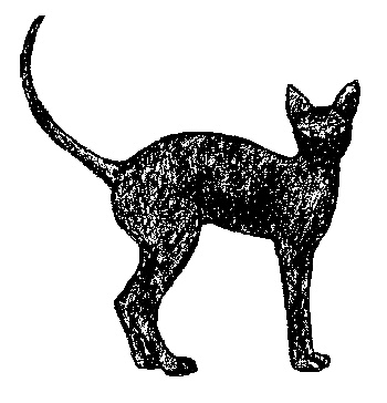 Кот для двоих Кот для двоих