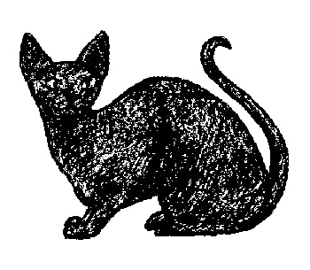 Кот для двоих Кот для двоих