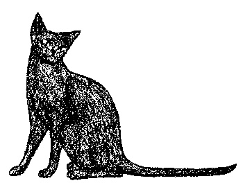 Кот для двоих Кот для двоих