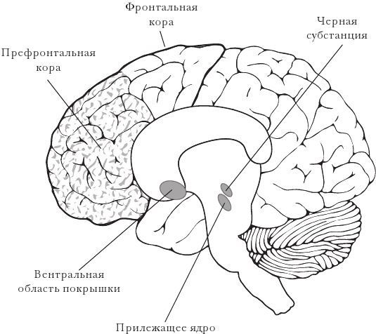 Эластичность Эластичность