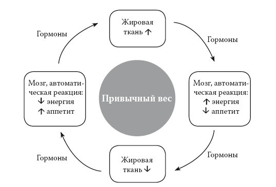 Умные калории: как больше есть, меньше тренироваться, похудеть и жить лучше Умные калории: как больше есть, меньше тренироваться, похудеть и жить лучше