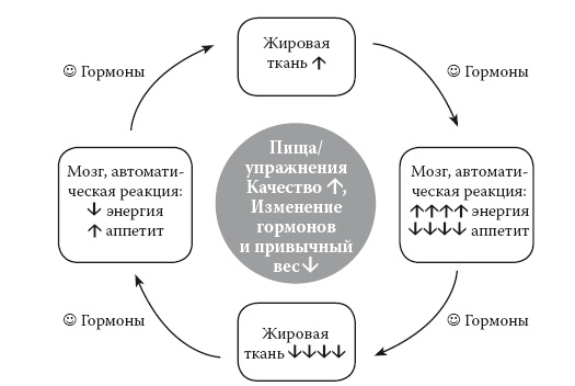 Умные калории: как больше есть, меньше тренироваться, похудеть и жить лучше Умные калории: как больше есть, меньше тренироваться, похудеть и жить лучше