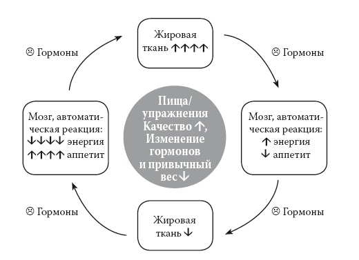 Умные калории: как больше есть, меньше тренироваться, похудеть и жить лучше Умные калории: как больше есть, меньше тренироваться, похудеть и жить лучше