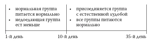 Умные калории: как больше есть, меньше тренироваться, похудеть и жить лучше Умные калории: как больше есть, меньше тренироваться, похудеть и жить лучше
