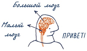 В моей голове В моей голове