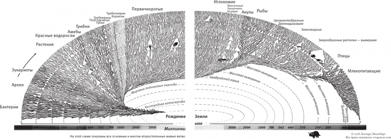 Насосы интуиции и другие инструменты мышления Насосы интуиции и другие инструменты мышления
