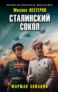 Маршал авиации - Михаил Нестеров - Читать книги онлайн | Слушать аудиокниги онлайн | Электронная библиотека books-lib.com