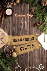 Нежданный гость  - Катрин Корр - Читать книги онлайн | Слушать аудиокниги онлайн | Электронная библиотека books-lib.com