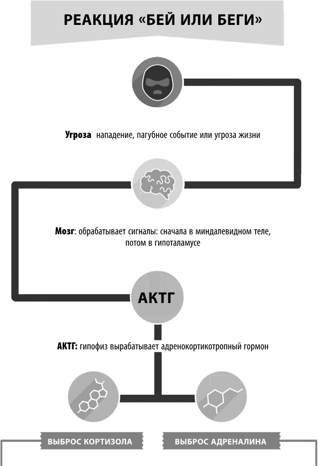 Полюби свой мозг Полюби свой мозг
