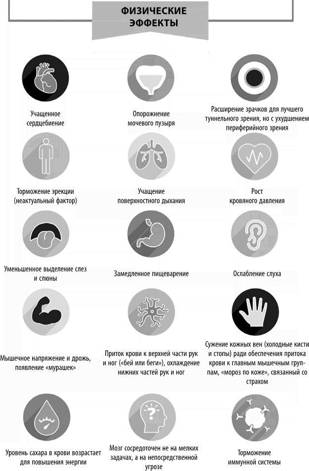 Полюби свой мозг Полюби свой мозг