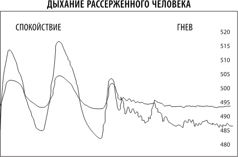 Полюби свой мозг Полюби свой мозг