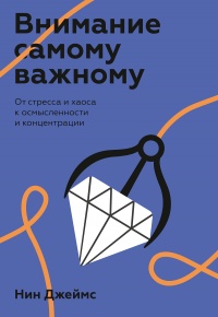 Внимание самому важному. От стресса и хаоса к осмысленности и концентрации - Нин Джеймс - Читать книги онлайн | Слушать аудиокниги онлайн | Электронная библиотека books-lib.com