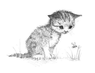 Котёнок Чарли, или Хвостатый бродяга Котёнок Чарли, или Хвостатый бродяга