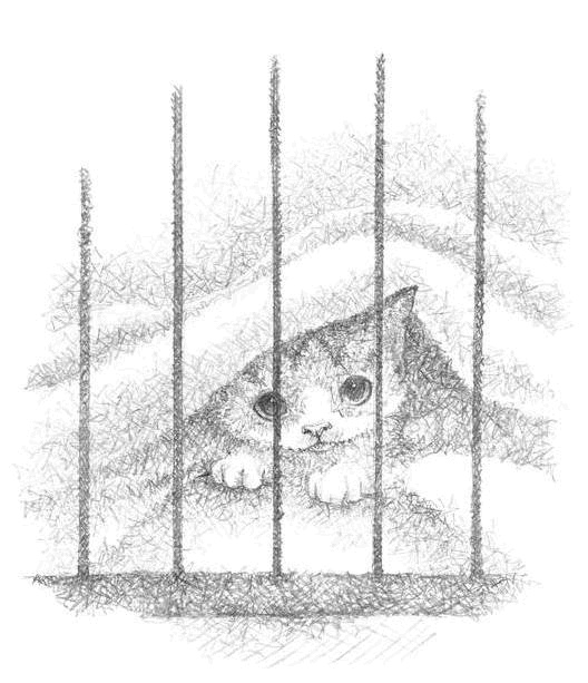 Котёнок Чарли, или Хвостатый бродяга Котёнок Чарли, или Хвостатый бродяга