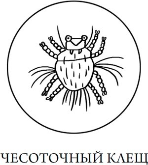 Человек Противный Человек Противный