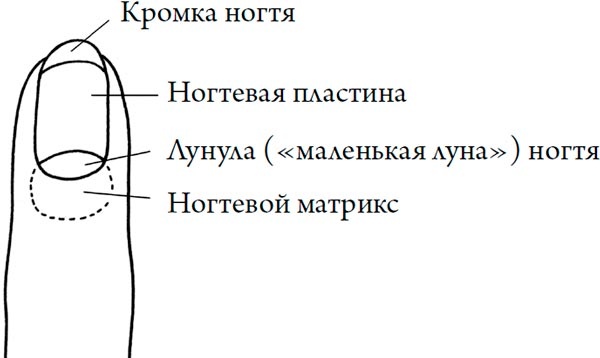 Человек Противный Человек Противный
