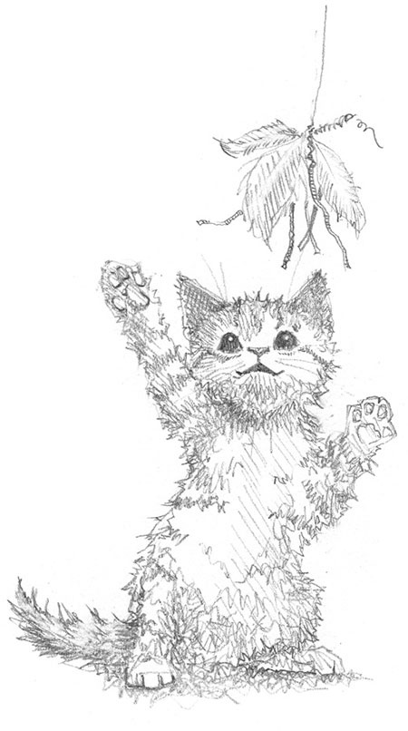Котёнок Веснушка, или Как научиться помогать Котёнок Веснушка, или Как научиться помогать