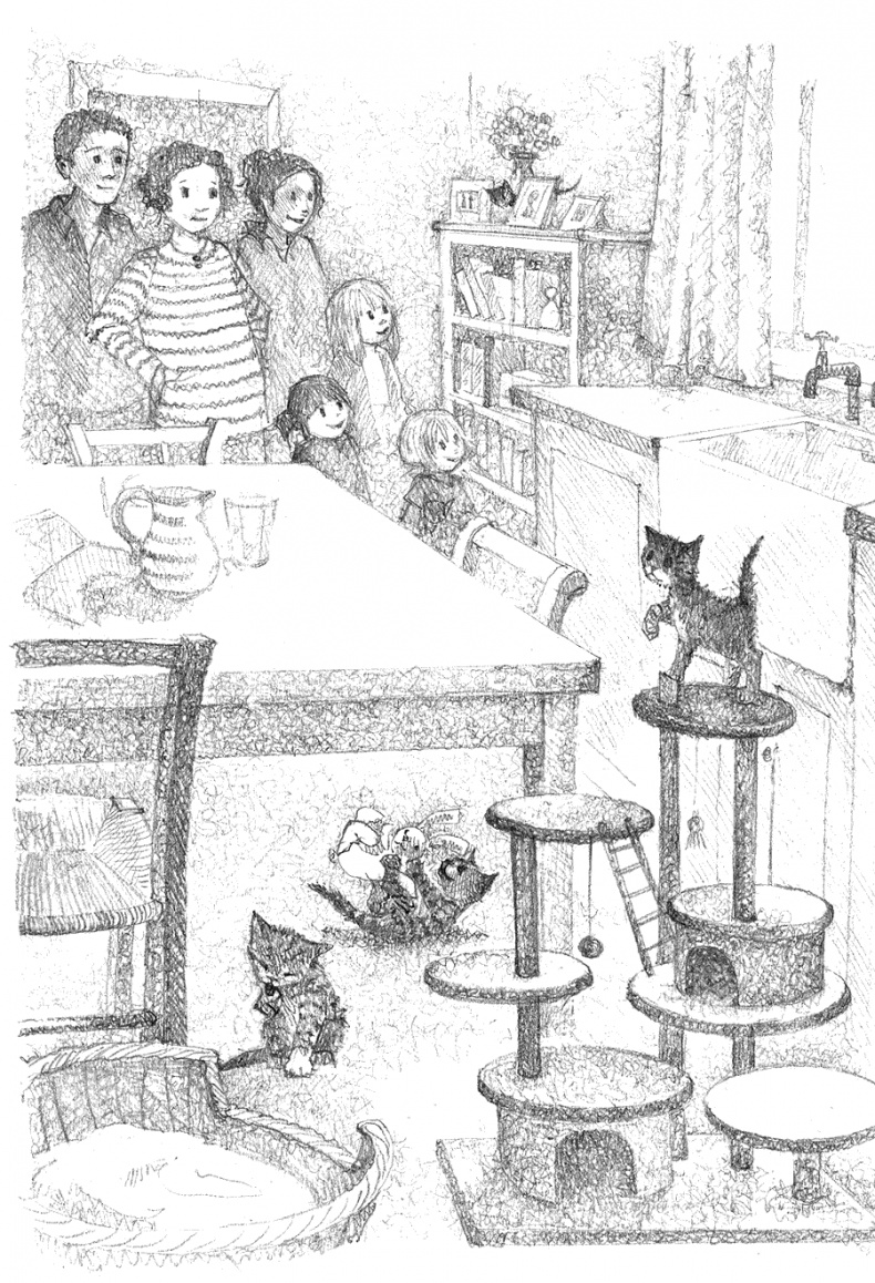 Котёнок Тигр, или Искатель приключений Котёнок Тигр, или Искатель приключений