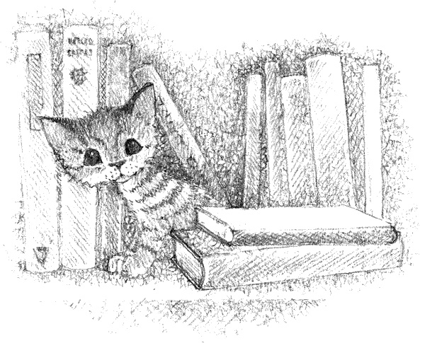 Котёнок Тигр, или Искатель приключений Котёнок Тигр, или Искатель приключений