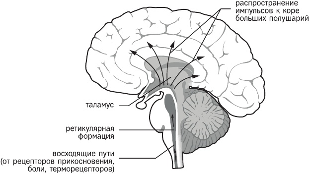 Красная таблетка-2. Вся правда об успехе Красная таблетка-2. Вся правда об успехе