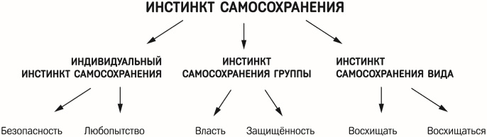 Красная таблетка-2. Вся правда об успехе Красная таблетка-2. Вся правда об успехе