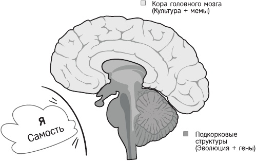 Красная таблетка-2. Вся правда об успехе Красная таблетка-2. Вся правда об успехе
