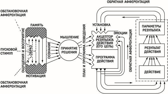 Красная таблетка-2. Вся правда об успехе Красная таблетка-2. Вся правда об успехе