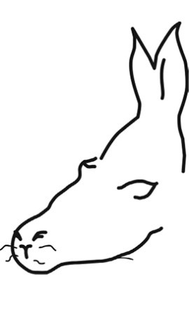 Наука мудрости Наука мудрости