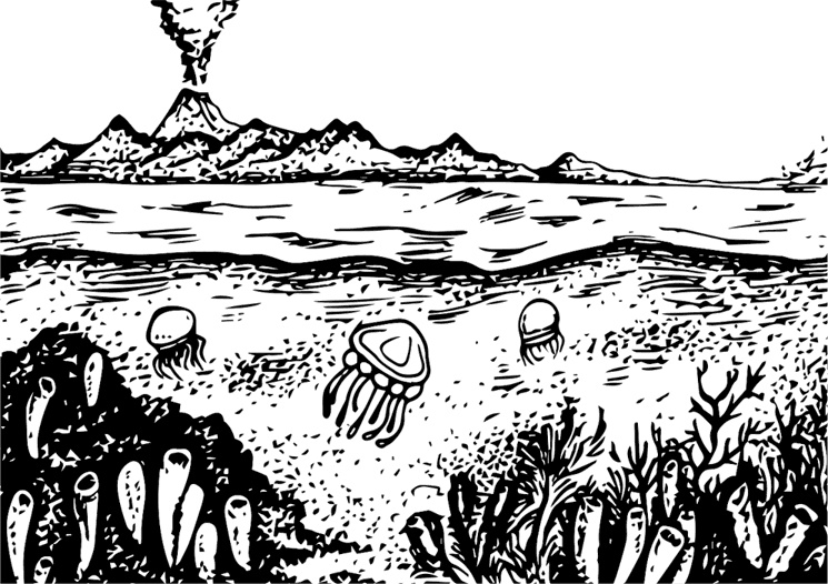 Палеонтология антрополога. Книга 1. Докембрий и палеозой Палеонтология антрополога. Книга 1. Докембрий и палеозой