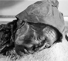 Всемирная история в вопросах и ответах Всемирная история в вопросах и ответах