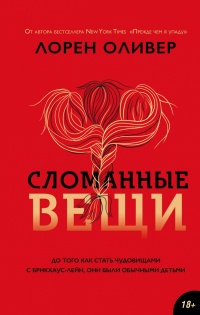 Сломанные вещи - Лорен Оливер - Читать книги онлайн | Слушать аудиокниги онлайн | Электронная библиотека books-lib.com