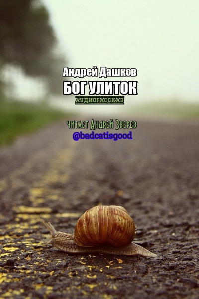 Дашков Андрей - Бог улиток - Читать книги онлайн | Слушать аудиокниги онлайн | Электронная библиотека books-lib.com