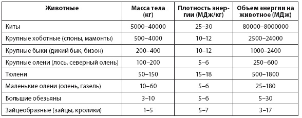 Энергия и цивилизация Энергия и цивилизация