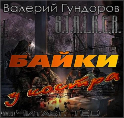 Гундоров Валерий - Байки у костра - Читать книги онлайн | Слушать аудиокниги онлайн | Электронная библиотека books-lib.com
