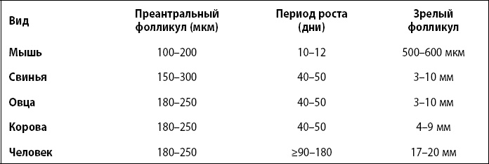 Это все гормоны! Это все гормоны!