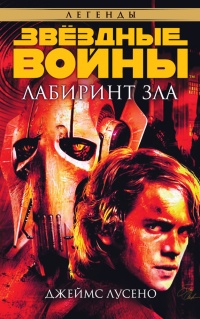 Лабиринт зла - Джеймс Лучено - Читать книги онлайн | Слушать аудиокниги онлайн | Электронная библиотека books-lib.com