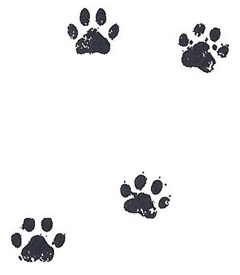 Дело о похищенном сыре Дело о похищенном сыре