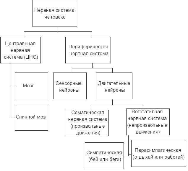 Код убеждения. Как нейромаркетинг повышает продажи, эффективность рекламных кампаний и конверсию сайта Код убеждения. Как нейромаркетинг повышает продажи, эффективность рекламных кампаний и конверсию сайта