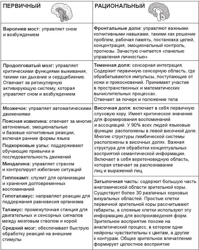 Код убеждения. Как нейромаркетинг повышает продажи, эффективность рекламных кампаний и конверсию сайта Код убеждения. Как нейромаркетинг повышает продажи, эффективность рекламных кампаний и конверсию сайта
