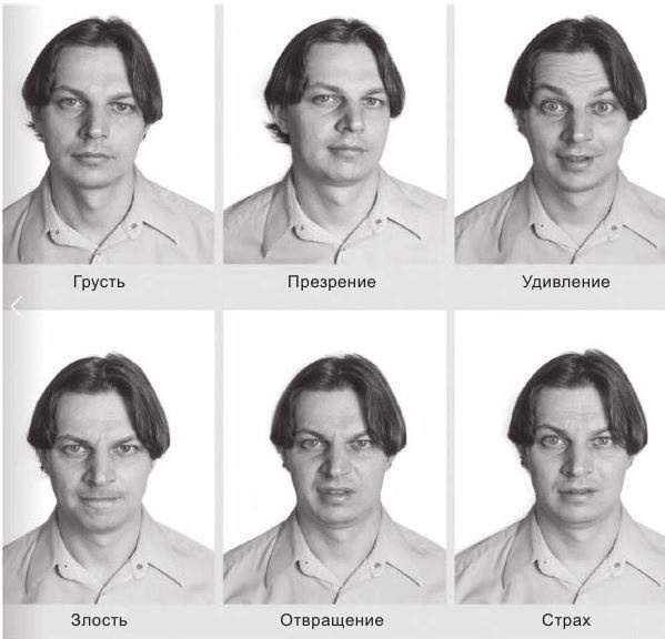 Код убеждения. Как нейромаркетинг повышает продажи, эффективность рекламных кампаний и конверсию сайта Код убеждения. Как нейромаркетинг повышает продажи, эффективность рекламных кампаний и конверсию сайта
