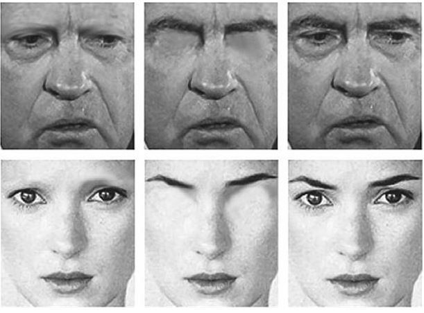 Код убеждения. Как нейромаркетинг повышает продажи, эффективность рекламных кампаний и конверсию сайта Код убеждения. Как нейромаркетинг повышает продажи, эффективность рекламных кампаний и конверсию сайта