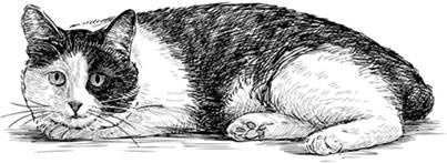 Нежная магия Тосканы. Вино, коты и призраки Нежная магия Тосканы. Вино, коты и призраки