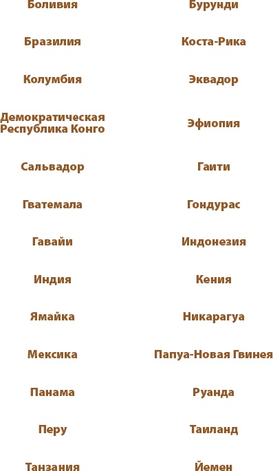 Магия кофе. Полная энциклопедия Магия кофе. Полная энциклопедия