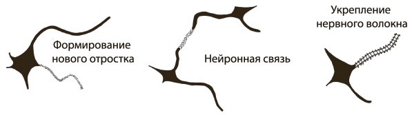 Безграничный разум Безграничный разум